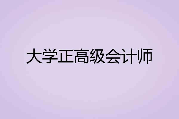 大学正高级会计师