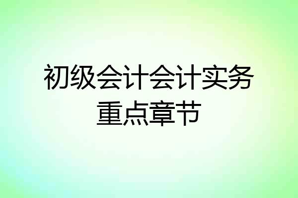 初级会计会计实务重点章节