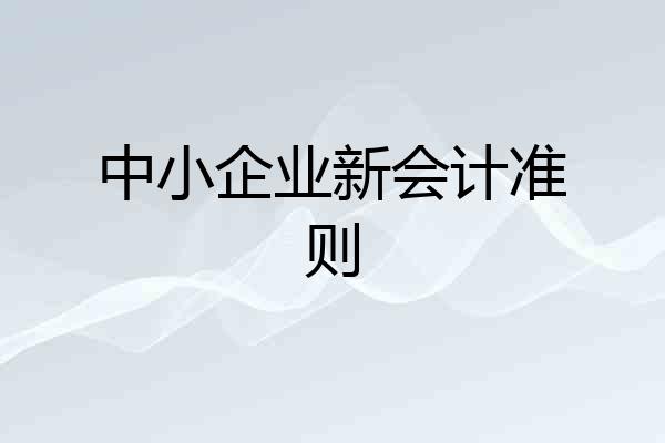 中小企业新会计准则