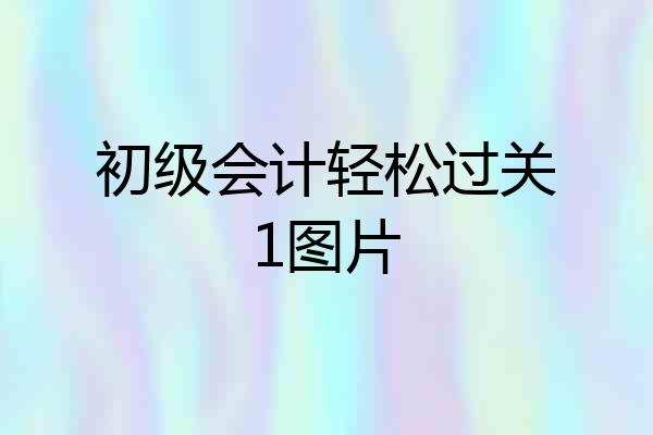 初级会计轻松过关1图片