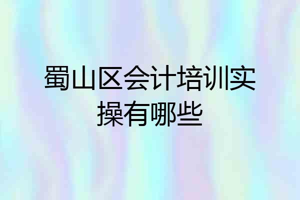 蜀山区会计培训实操有哪些