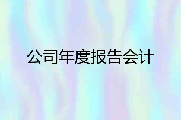公司年度报告会计