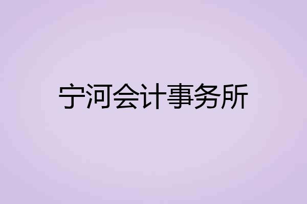 宁河会计事务所