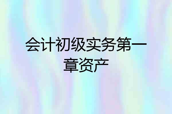 会计初级实务第一章资产