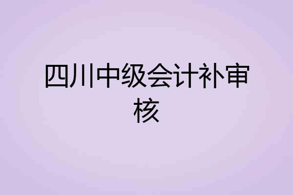 四川中级会计补审核