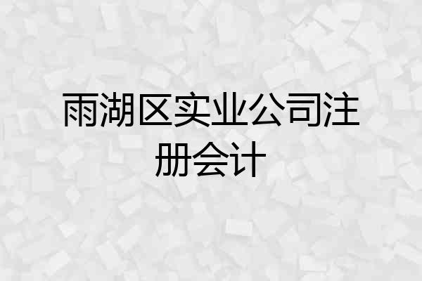 雨湖区实业公司注册会计