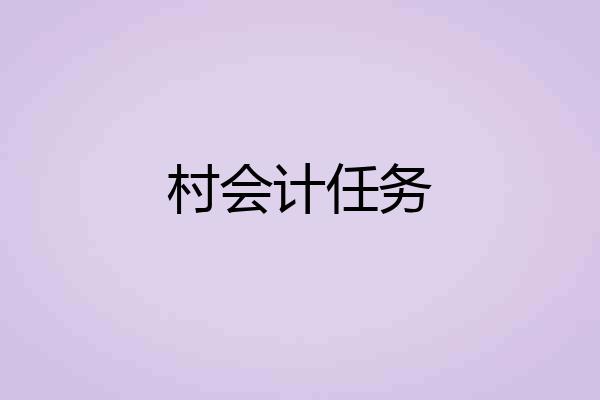 村会计任务