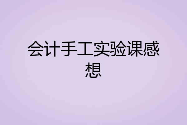 会计手工实验课感想