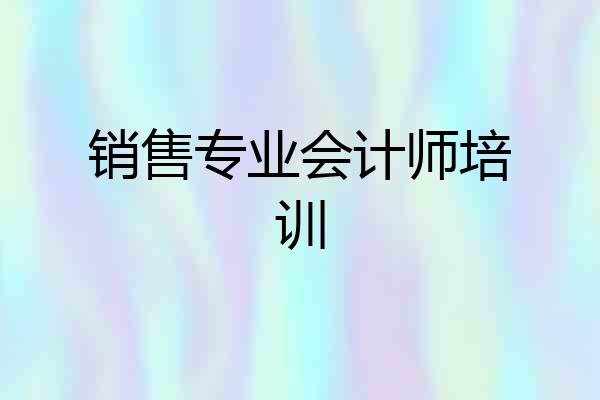 销售专业会计师培训