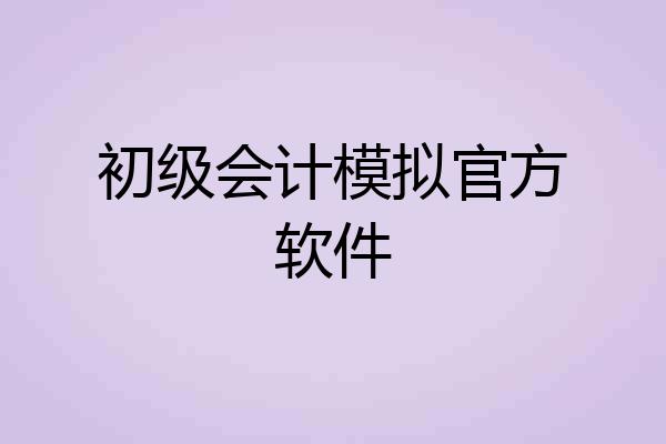 初级会计模拟官方软件
