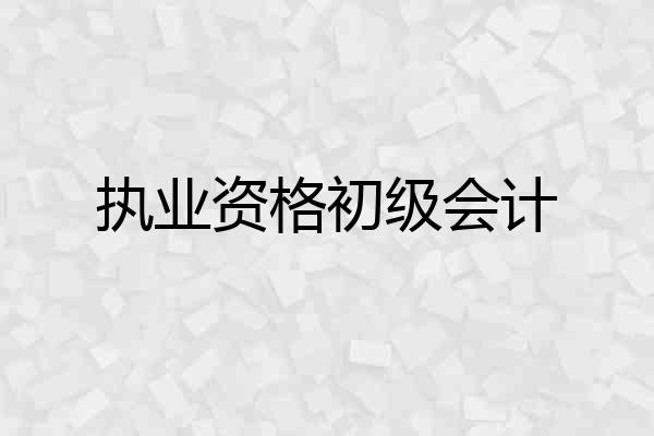 执业资格初级会计