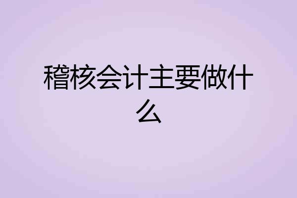 稽核会计主要做什么
