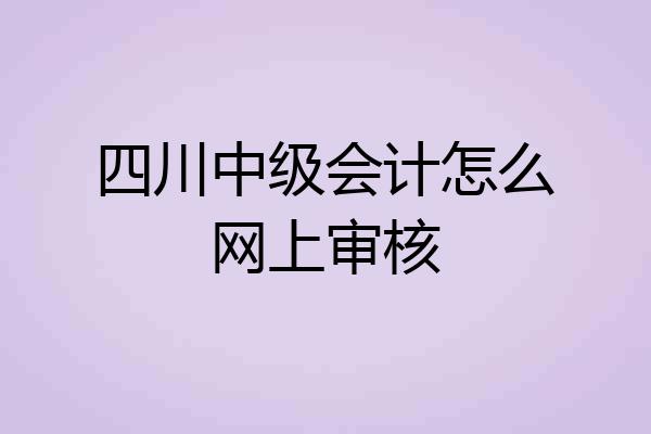 四川中级会计怎么网上审核