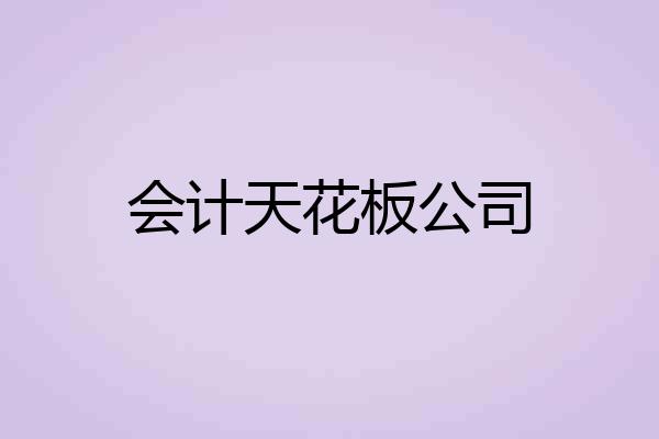 会计天花板公司