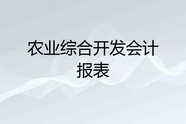 农业综合开发会计报表