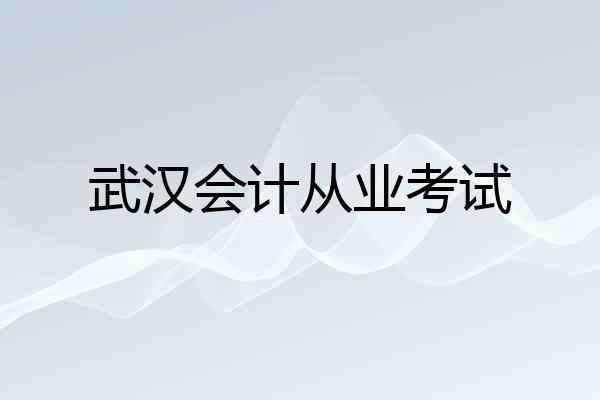 武汉会计从业考试