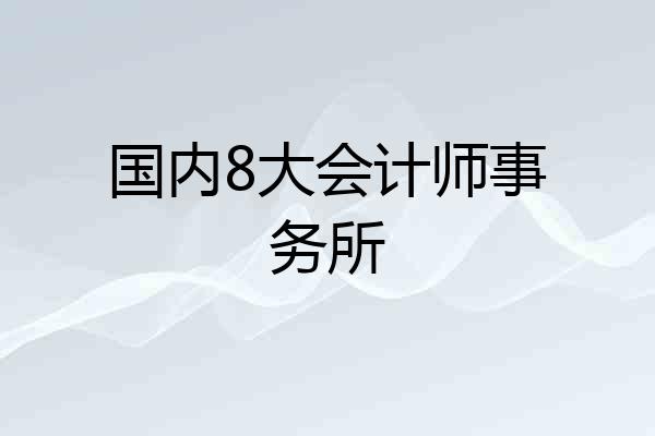 国内8大会计师事务所