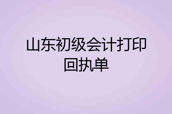 山东初级会计打印回执单