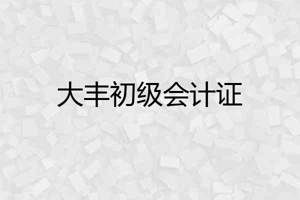大丰初级会计证