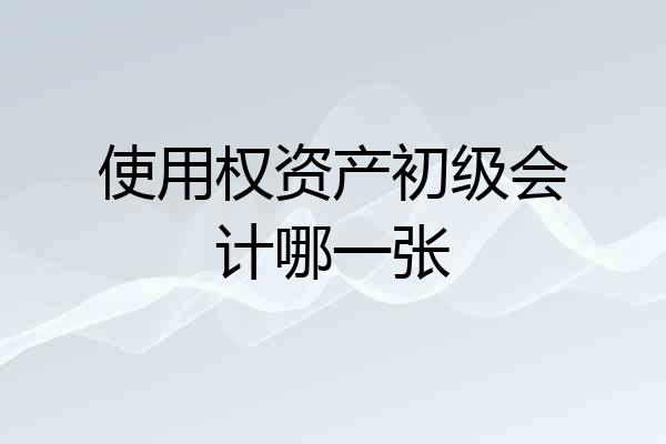使用权资产初级会计哪一张