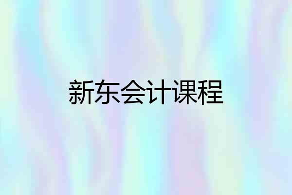 新东会计课程