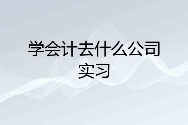 学会计去什么公司实习