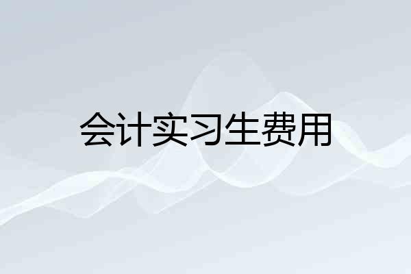 会计实习生费用
