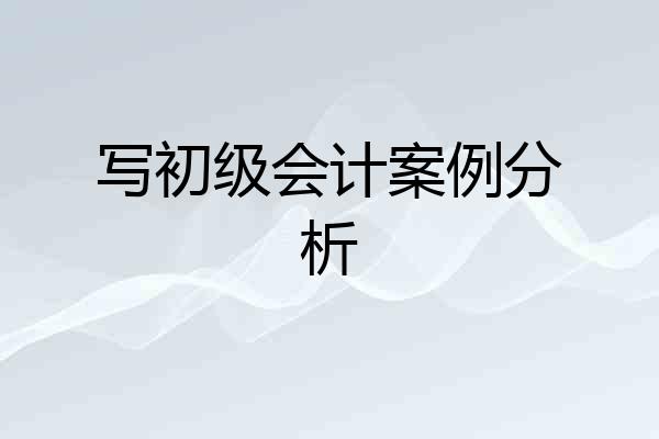 写初级会计案例分析