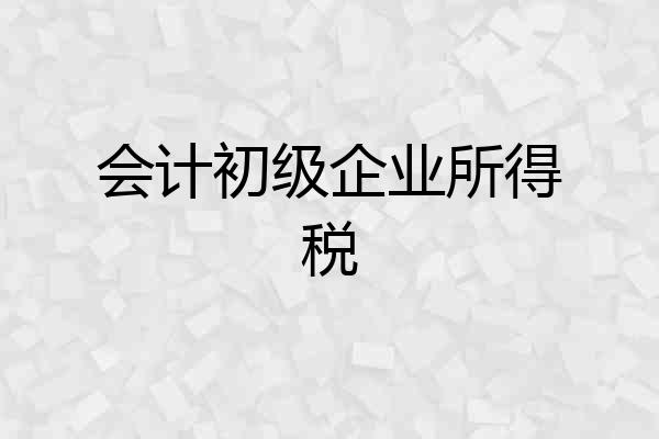 会计初级企业所得税
