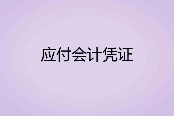 应付会计凭证