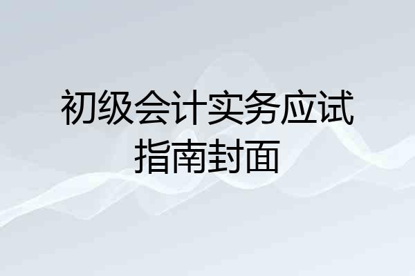 初级会计实务应试指南封面
