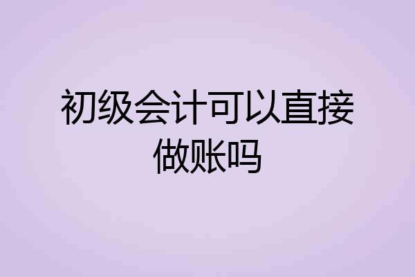 初级会计可以直接做账吗