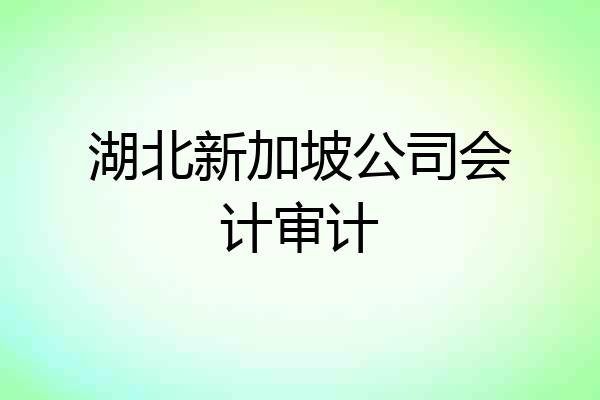 湖北新加坡公司会计审计