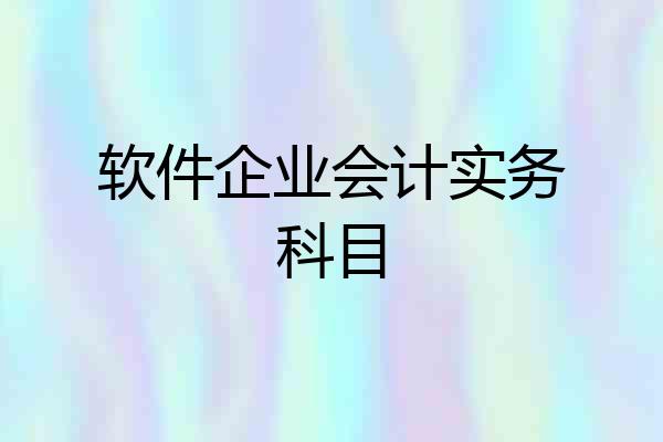 软件企业会计实务科目