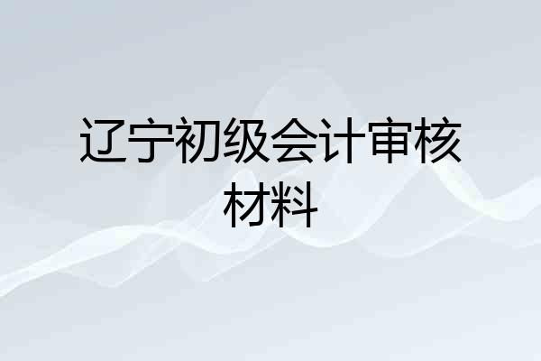 辽宁初级会计审核材料