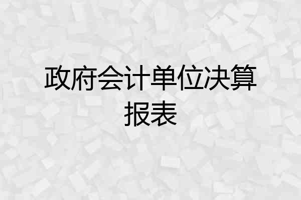 政府会计单位决算报表