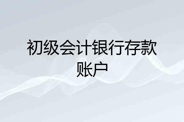 初级会计银行存款账户