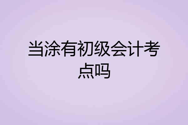 当涂有初级会计考点吗