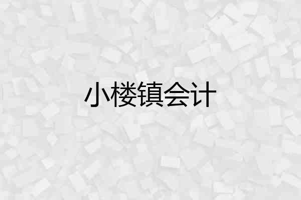小楼镇会计