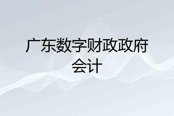 广东数字财政政府会计