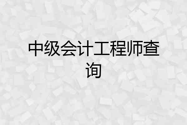 中级会计工程师查询