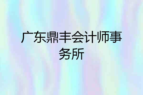 广东鼎丰会计师事务所