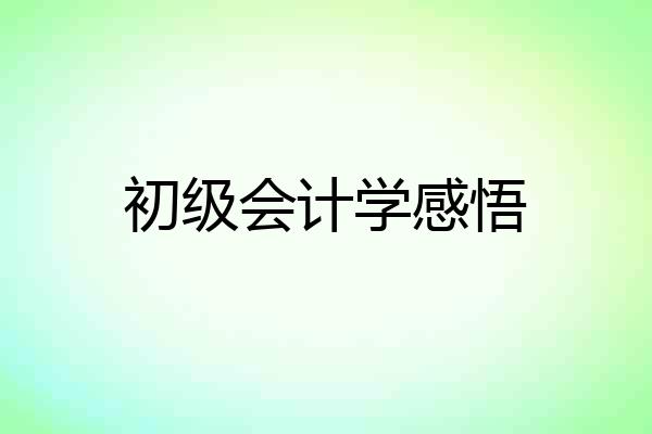 初级会计学感悟