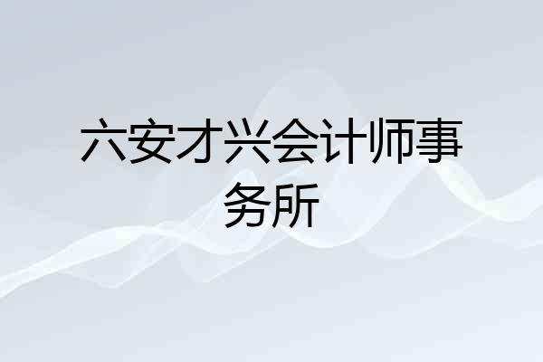 六安才兴会计师事务所