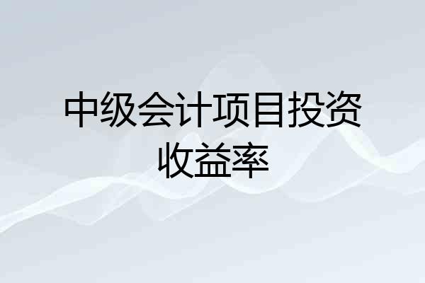 中级会计项目投资收益率