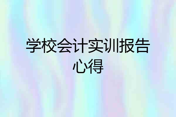 学校会计实训报告心得