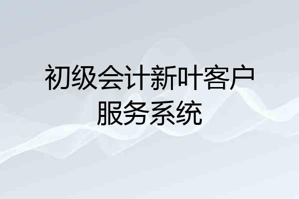 初级会计新叶客户服务系统