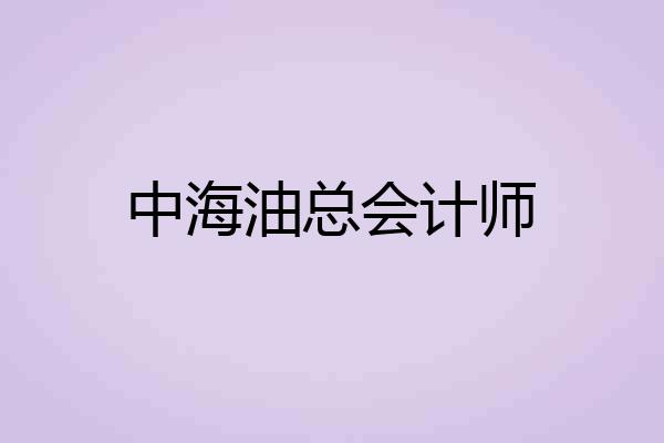 中海油总会计师