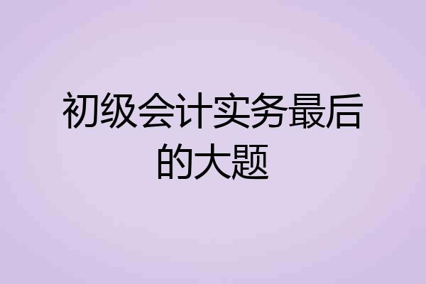 初级会计实务最后的大题