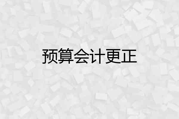 预算会计更正